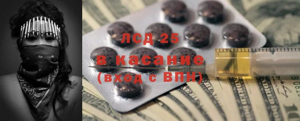 PSILOCYBIN Армянск