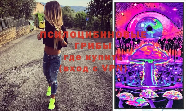 mdpv Арсеньев