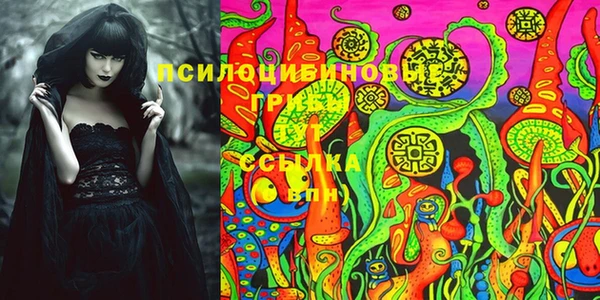 mdpv Арсеньев