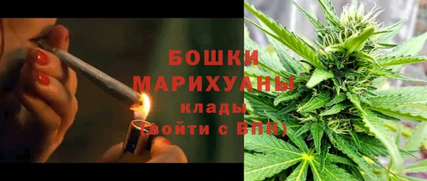 PSILOCYBIN Армянск