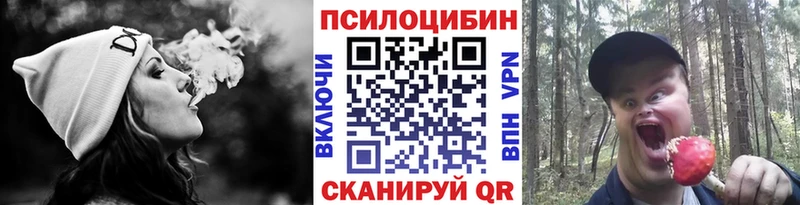 где найти наркотики  гидра зеркало  Галлюциногенные грибы ЛСД  Городец 