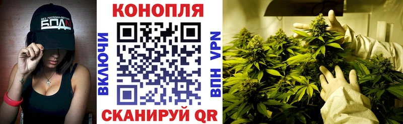 Канабис конопля  где купить наркоту  Городец 